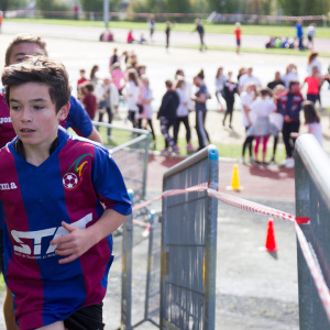 050 - Cross2019