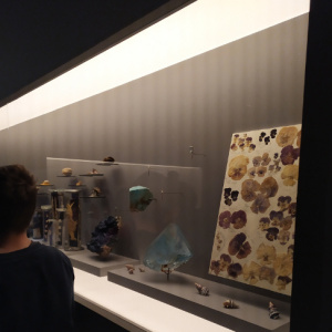 vitrine 1