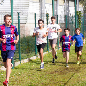043 - Cross2019