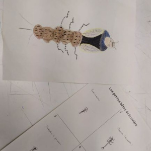 En Arts plastiques