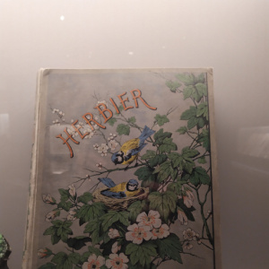 herbier2