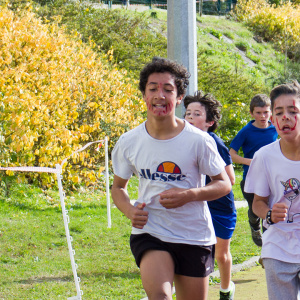 103 - Cross2019