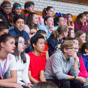 135 - Cross2019