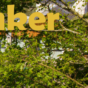 rubrique_présentation