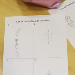 Dessins 2