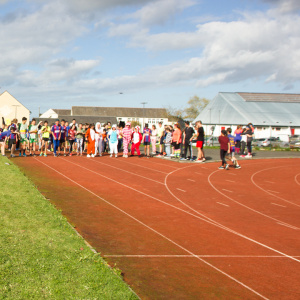 077 - Cross2019