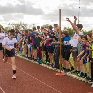 028 - Cross2019