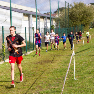 042 - Cross2019