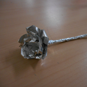 DSCN2600